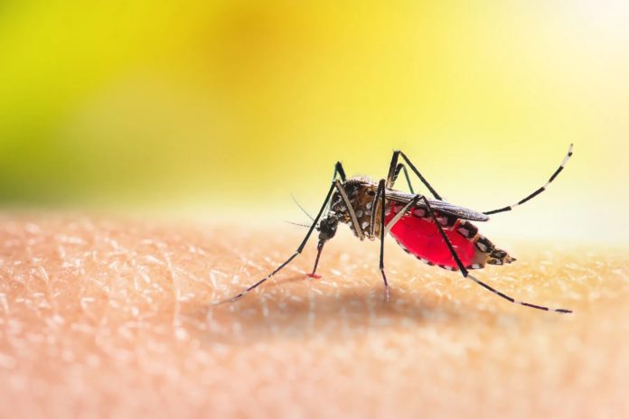 west-nile-virus-cases-rising-nationwide-amid-mosquito-season