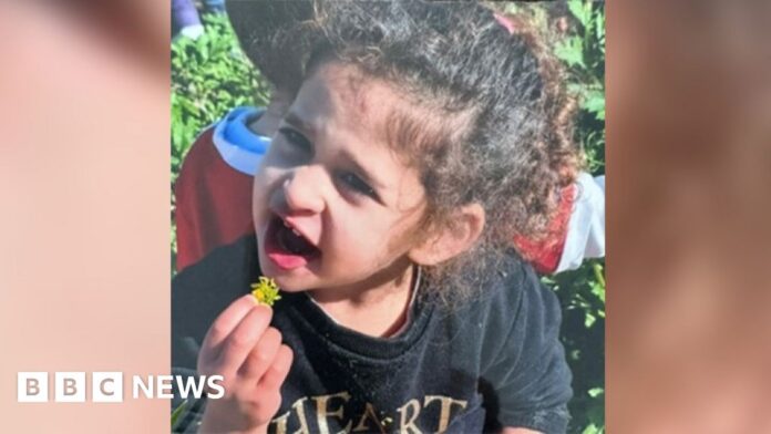 israel-gaza:-four-year-old-girl-among-released-hostages